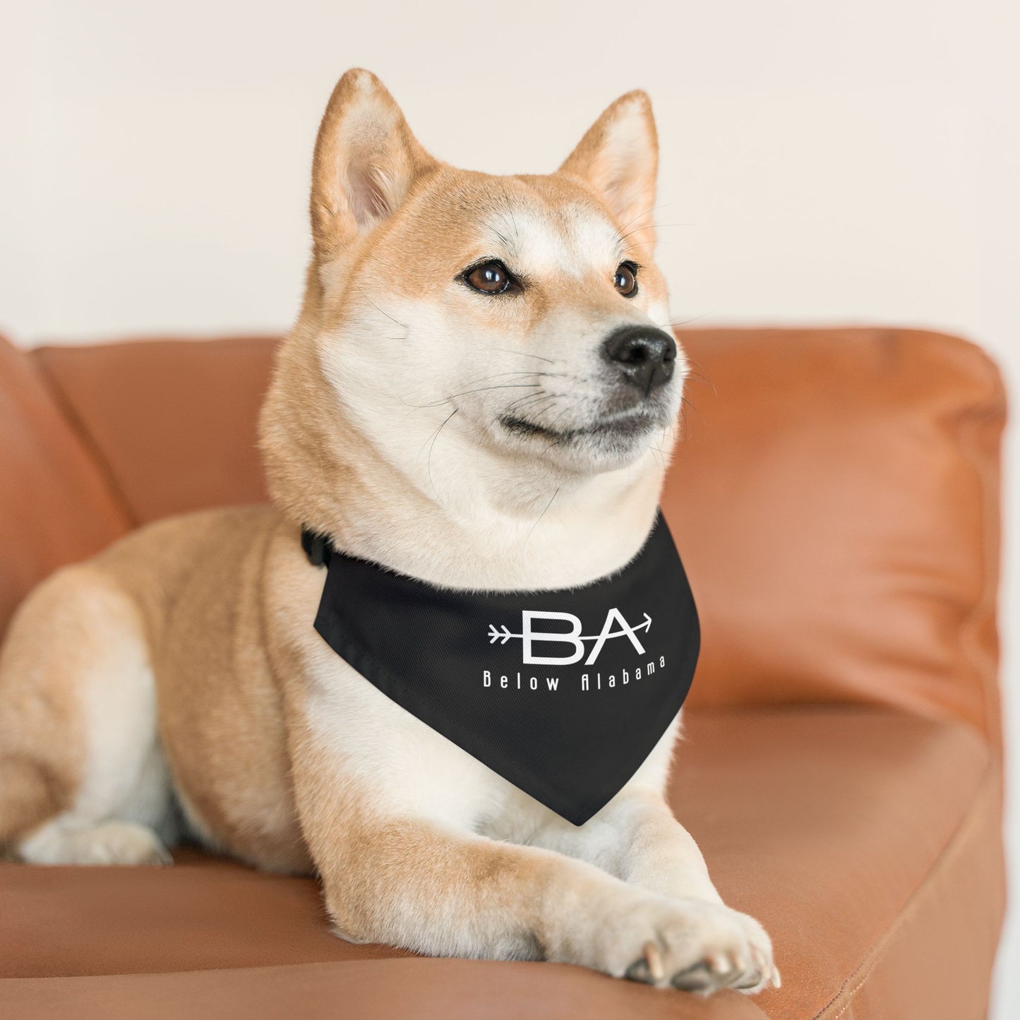 BA Arrow Pet Bandana Collar